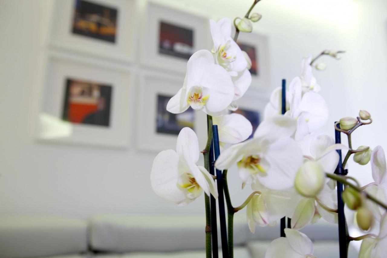 Plaza Mayor Suite マドリード エクステリア 写真